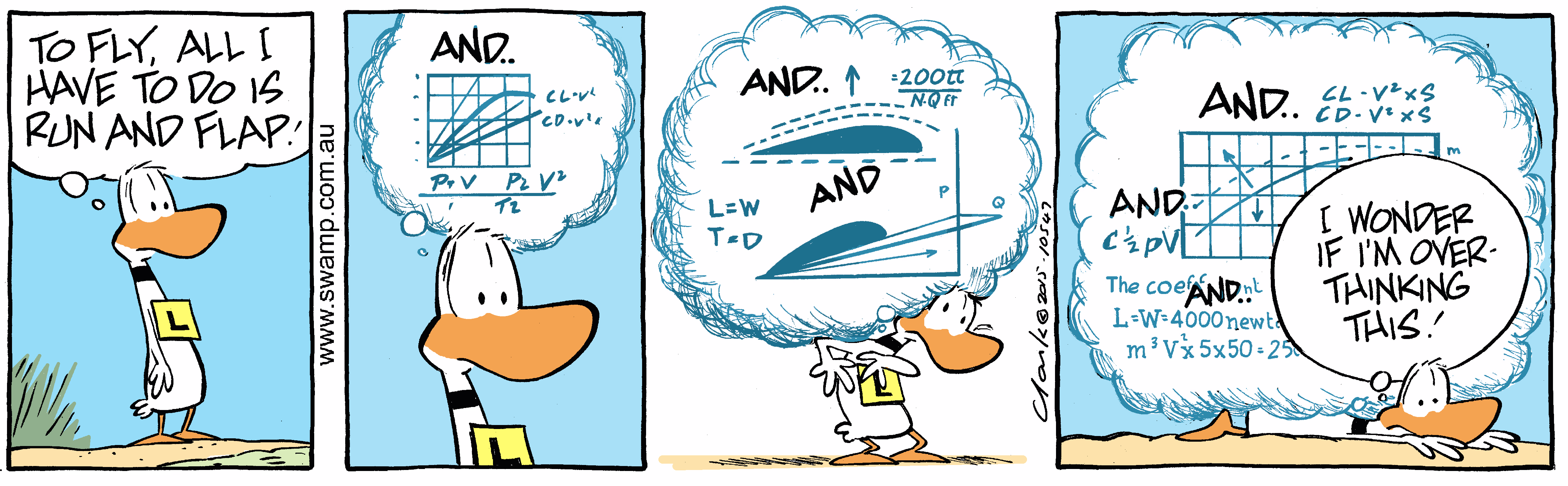 theory of run and flap colour cartoon